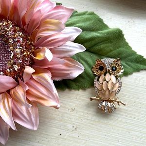Beautiful Rhinestone Owl Brooch Pin